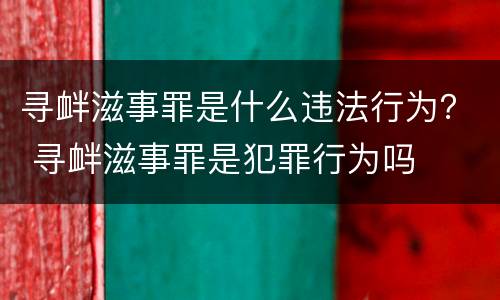 寻衅滋事罪是什么违法行为？ 寻衅滋事罪是犯罪行为吗