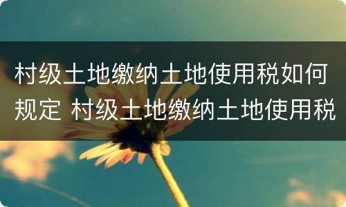 村级土地缴纳土地使用税如何规定 村级土地缴纳土地使用税如何规定收入