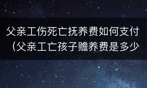 父亲工伤死亡抚养费如何支付（父亲工亡孩子赡养费是多少）