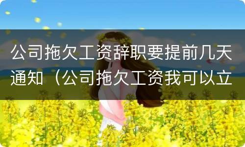公司拖欠工资辞职要提前几天通知（公司拖欠工资我可以立刻离职吗还是要提前一个月）