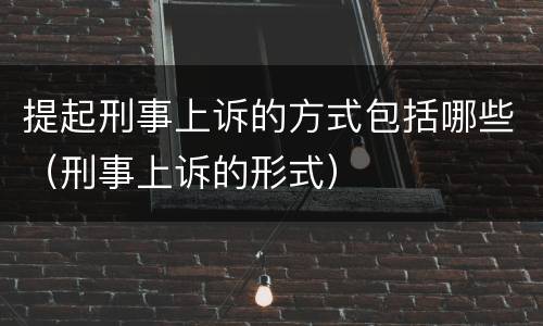 提起刑事上诉的方式包括哪些（刑事上诉的形式）