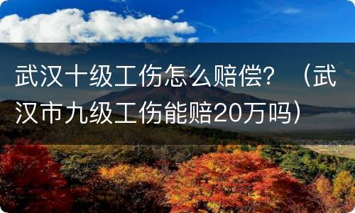 武汉十级工伤怎么赔偿？（武汉市九级工伤能赔20万吗）