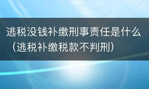 逃税没钱补缴刑事责任是什么（逃税补缴税款不判刑）