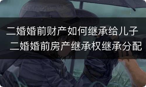 二婚婚前财产如何继承给儿子 二婚婚前房产继承权继承分配