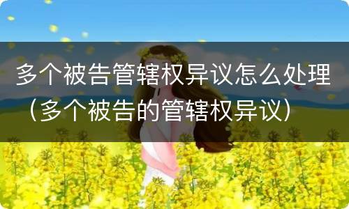 多个被告管辖权异议怎么处理（多个被告的管辖权异议）