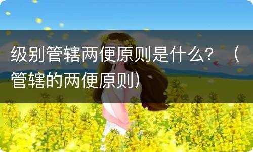 级别管辖两便原则是什么？（管辖的两便原则）