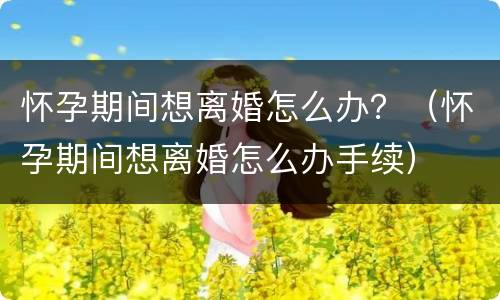 怀孕期间想离婚怎么办？（怀孕期间想离婚怎么办手续）