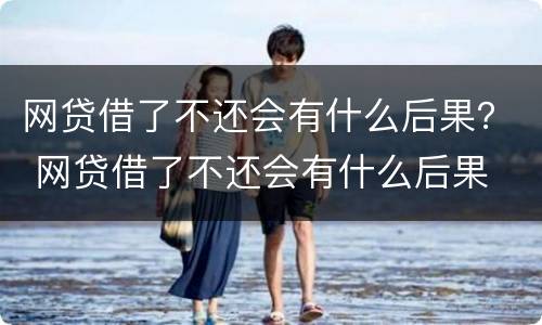 网贷借了不还会有什么后果？ 网贷借了不还会有什么后果
