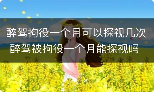 醉驾拘役一个月可以探视几次 醉驾被拘役一个月能探视吗