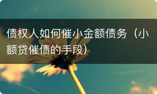 债权人如何催小金额债务（小额贷催债的手段）