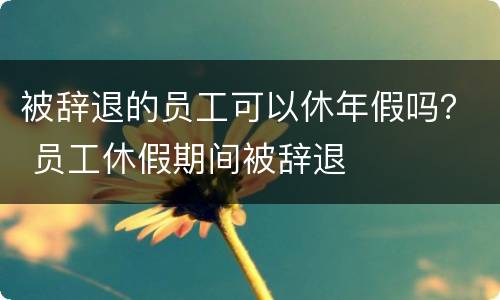 被辞退的员工可以休年假吗？ 员工休假期间被辞退