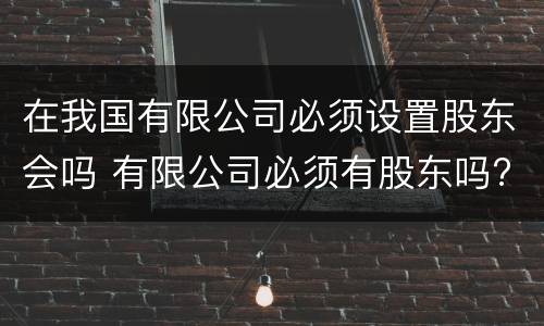 在我国有限公司必须设置股东会吗 有限公司必须有股东吗?