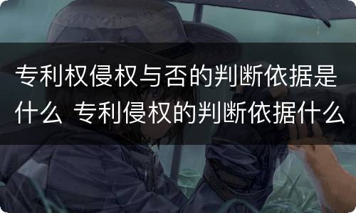 专利权侵权与否的判断依据是什么 专利侵权的判断依据什么法