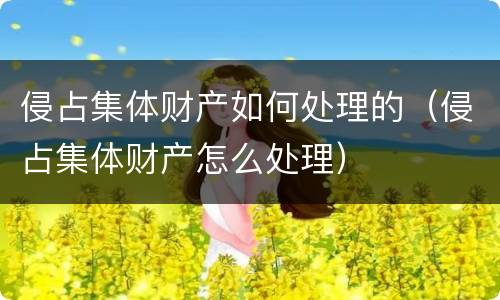 侵占集体财产如何处理的（侵占集体财产怎么处理）