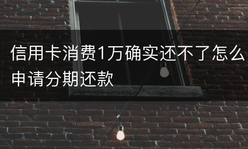 信用卡消费1万确实还不了怎么申请分期还款