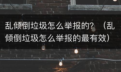 乱倾倒垃圾怎么举报的？（乱倾倒垃圾怎么举报的最有效）