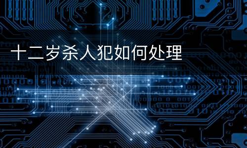 十二岁杀人犯如何处理