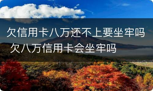 欠信用卡八万还不上要坐牢吗 欠八万信用卡会坐牢吗