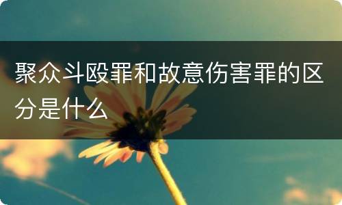 聚众斗殴罪和故意伤害罪的区分是什么