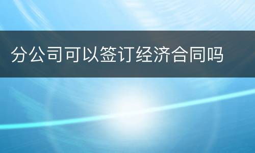 分公司可以签订经济合同吗