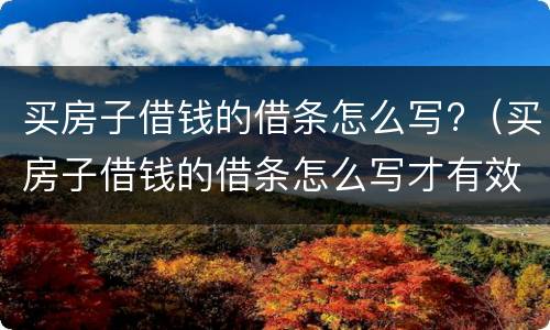 买房子借钱的借条怎么写?（买房子借钱的借条怎么写才有效）