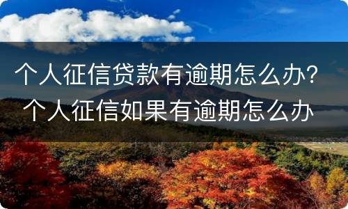 个人征信贷款有逾期怎么办？ 个人征信如果有逾期怎么办