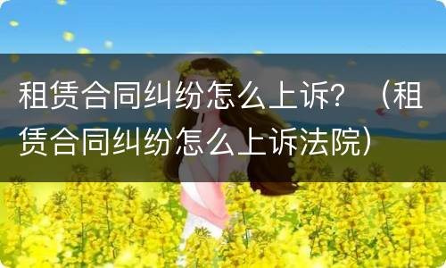 租赁合同纠纷怎么上诉？（租赁合同纠纷怎么上诉法院）