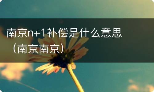 南京n+1补偿是什么意思（南京南京）