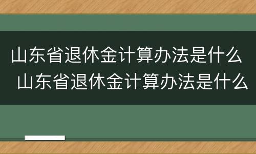 山东省退休金计算办法是什么 山东省退休金计算办法是什么时候开始