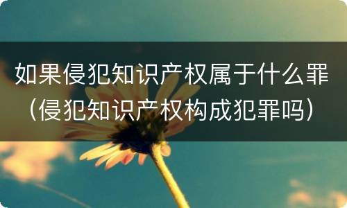 如果侵犯知识产权属于什么罪（侵犯知识产权构成犯罪吗）