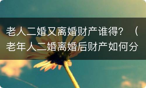 老人二婚又离婚财产谁得？（老年人二婚离婚后财产如何分配）
