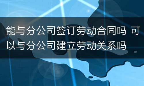 能与分公司签订劳动合同吗 可以与分公司建立劳动关系吗