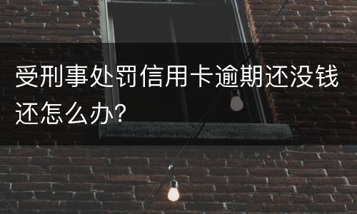 受刑事处罚信用卡逾期还没钱还怎么办？