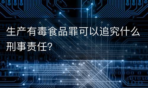 生产有毒食品罪可以追究什么刑事责任？