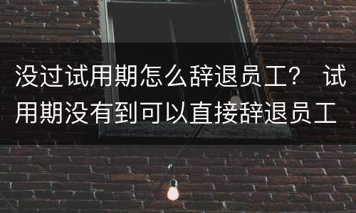 没过试用期怎么辞退员工？ 试用期没有到可以直接辞退员工吗
