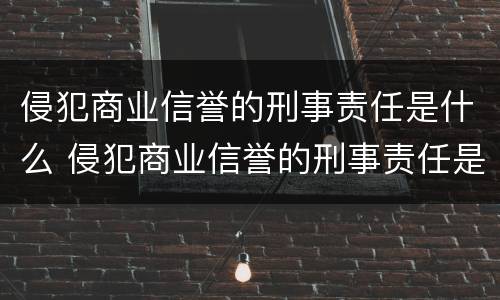 侵犯商业信誉的刑事责任是什么 侵犯商业信誉的刑事责任是什么案件