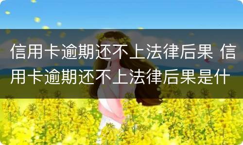 信用卡逾期还不上法律后果 信用卡逾期还不上法律后果是什么