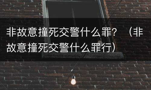 非故意撞死交警什么罪？（非故意撞死交警什么罪行）