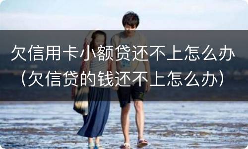 欠信用卡小额贷还不上怎么办（欠信贷的钱还不上怎么办）