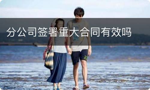 分公司签署重大合同有效吗