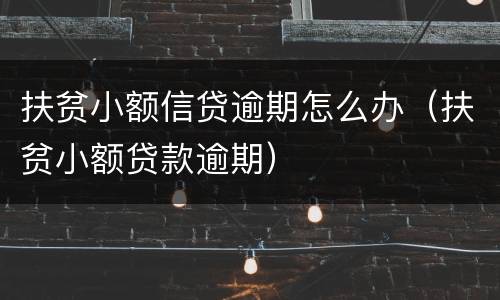 扶贫小额信贷逾期怎么办（扶贫小额贷款逾期）