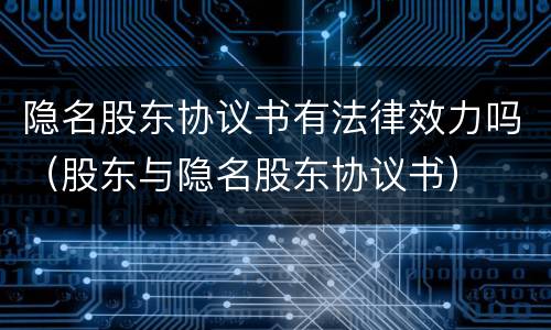 隐名股东协议书有法律效力吗（股东与隐名股东协议书）