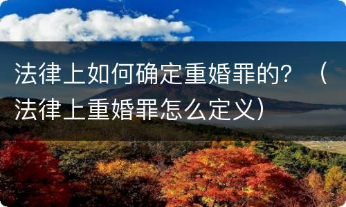 法律上如何确定重婚罪的？（法律上重婚罪怎么定义）