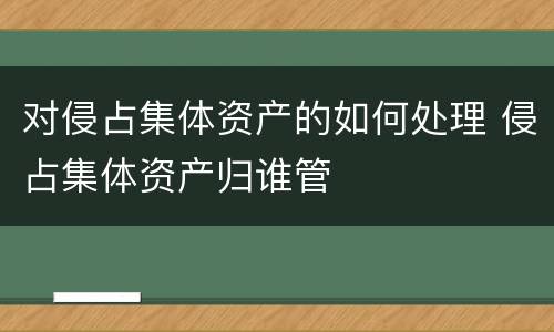 对侵占集体资产的如何处理 侵占集体资产归谁管
