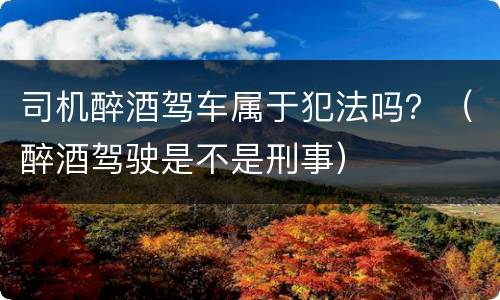 司机醉酒驾车属于犯法吗？（醉酒驾驶是不是刑事）