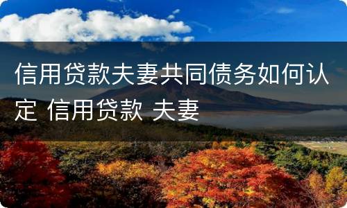 信用贷款夫妻共同债务如何认定 信用贷款 夫妻