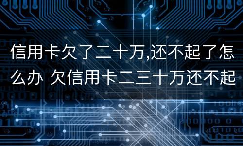 信用卡欠了二十万,还不起了怎么办 欠信用卡二三十万还不起怎么办