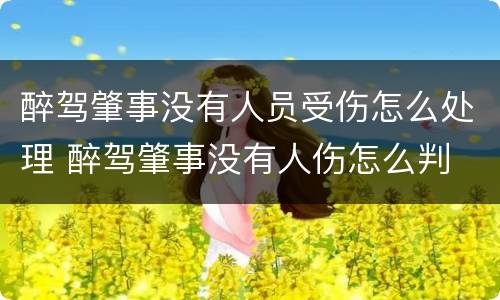 醉驾肇事没有人员受伤怎么处理 醉驾肇事没有人伤怎么判