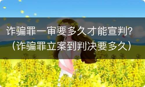 诈骗罪一审要多久才能宣判？（诈骗罪立案到判决要多久）