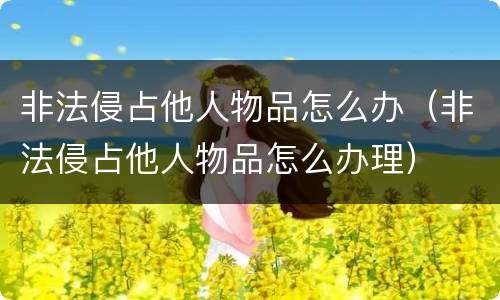 非法侵占他人物品怎么办（非法侵占他人物品怎么办理）